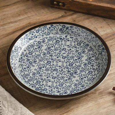 10-inch Commercial Ceramic Creative Restaurant Plate