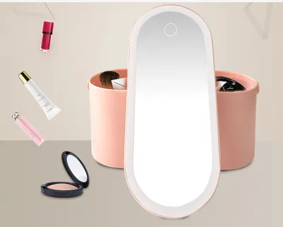 Storage Box LED Makeup Mirror Portable Portable Travel Makeup Organizer Carrying Box With Mirror LED