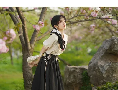 Retro College Peter Pan Collar Short Sleeve Embroidery Bud Suit