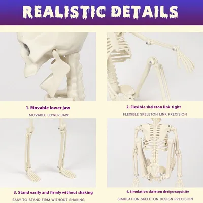 Halloween Simulation 40CM Skeleton Pendant Stand-able Movable Joint