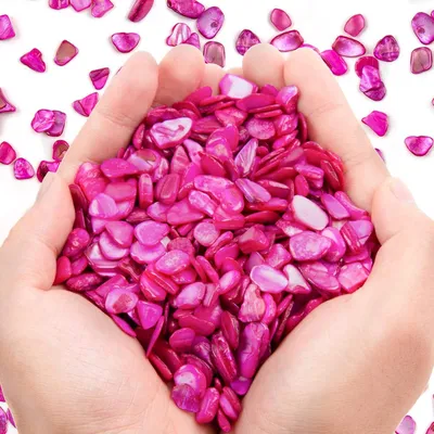 Small Natural Crushed Shells For Crafts About 2LB 900g 31.74oz DIY Beaching Wedding Decoration Vase Fillers