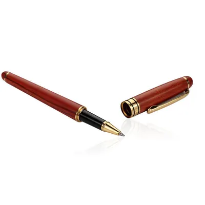 Red Wood Student office Supplies Fountain pen