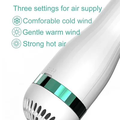 Pet Comb Hair Dryer