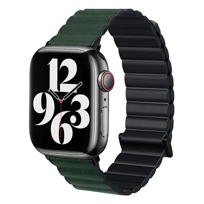 Magnetic Absorption Two-color Watch Band