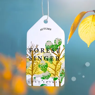 Supplies Creative Car Perfume Aromatherapy Tablets