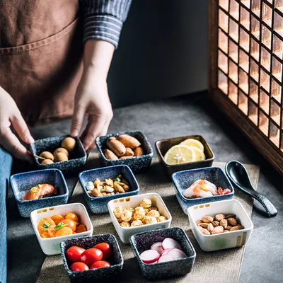 طقم أطباق التوابل الخزفية اليابانية المربعة