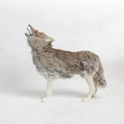 Simulation Wolf Model Ornaments Simulation Animal Wolf Plush Toy Wolf Specimen Crafts Wolf Totem