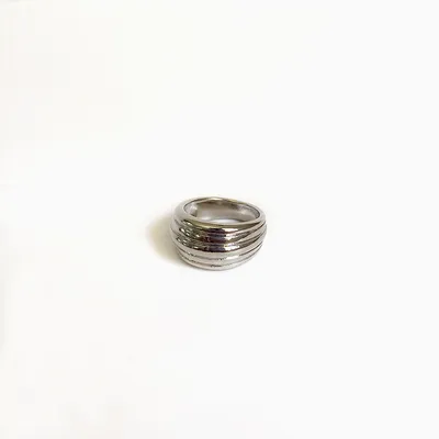 R0131 silver