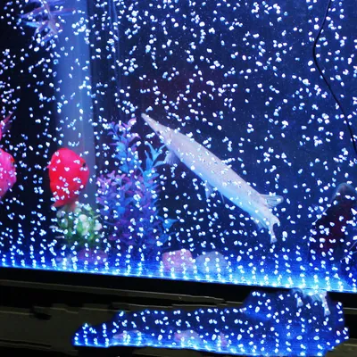 مصباح LED مقاوم للماء لحوض السمك على شكل فقاعات
