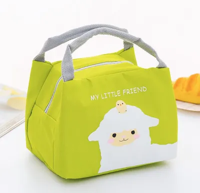 Portable small lunch box bag
