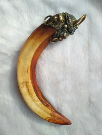 Baozhen natural wild boar tooth pendant