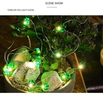 LED Lighting