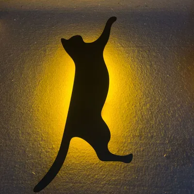 Climb cat