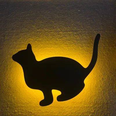 Attack cat