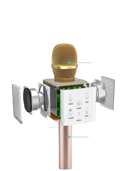 Handheld Microphone Speaker