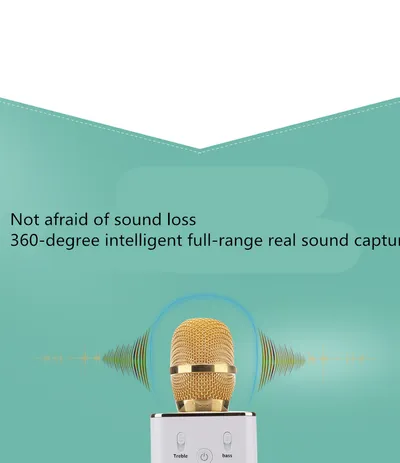 Handheld Microphone Speaker