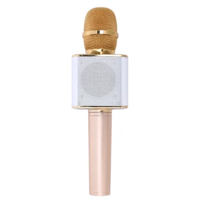 Handheld Microphone Speaker