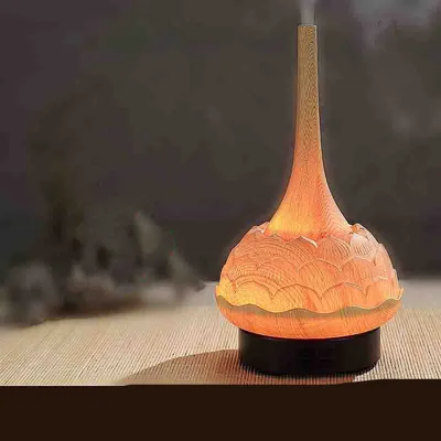 Mini Humidifier Plug-In Beauty Aromatherapy Lamp