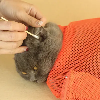 Pet Soft Cat Grooming Bag Adjustable Multifunctional Polyester Cat Washing Shower Mesh Bags Pet Nail Trimming Bags
