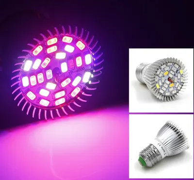 مصباح نمو LED، إضاءة داخلية