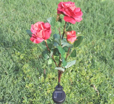 مصباح وردي شمسي ب 3LED قابس في ضوء الشمس، ضوء الحديقة الحديقة