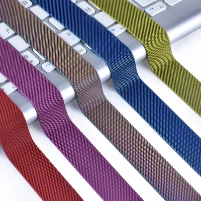Metal mesh magnetic watch strap