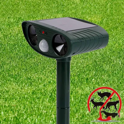 Outdoor animal remover
