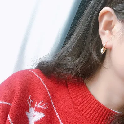 Light luxury earrings silver earrings