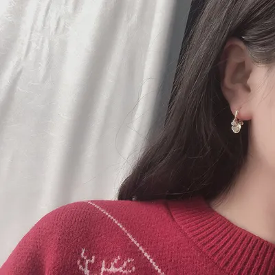 Light luxury earrings silver earrings