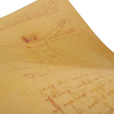 Da Vinci hand drawn