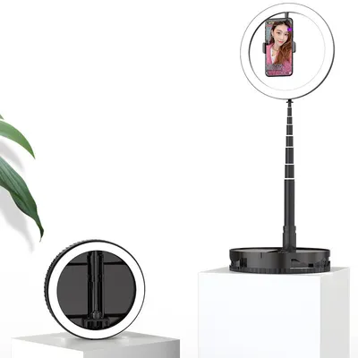 Mobile Photo self portrait desktop stand