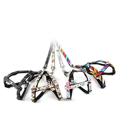 Dog outing traction rope