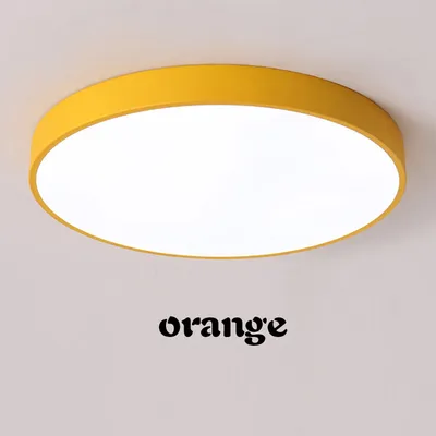 Modern minimalist ceiling light