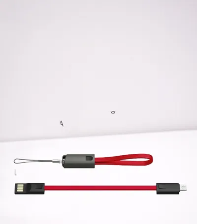 Fast charging cable keychain
