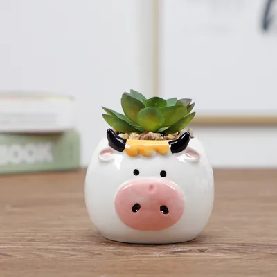 Ceramic flower pot
