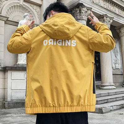 Men's tooling jacket