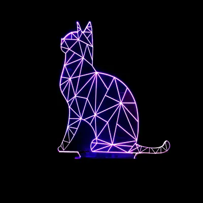 Colorful acrylic cat night light