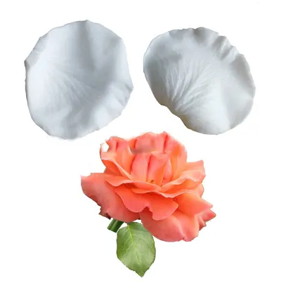 Petal cake mold