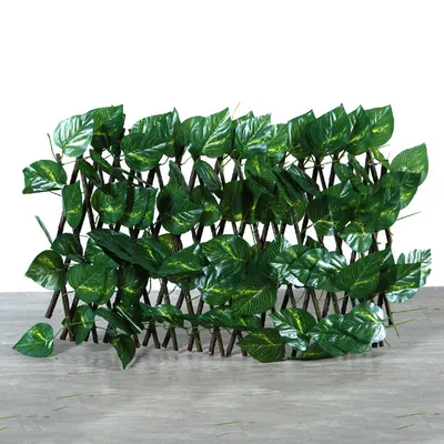 Plant Climb Trellis Extension Type Garden Buildings Anticorrosive Wood Pull Net Wall Fence Garden Home Wall Decoration