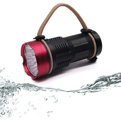 10 lamp beads strong light flashlight