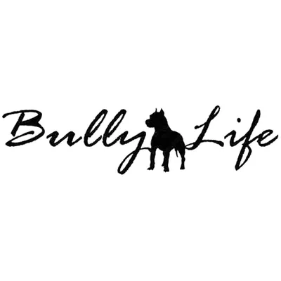 Car Sticker Decal C8-0847 C8-0006 C8-0915 C8-1073