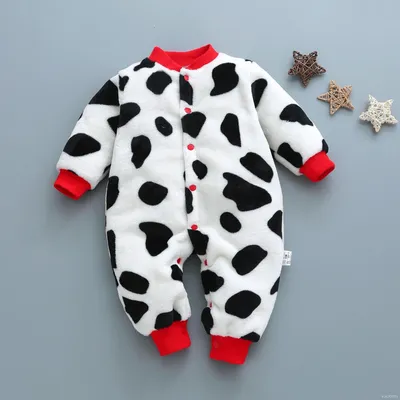 Black and white cow