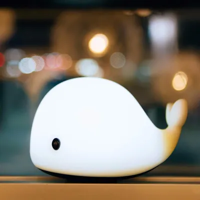 USB rechargeable silicone light