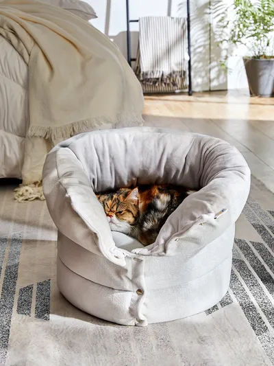 Cylindrical doghouse
