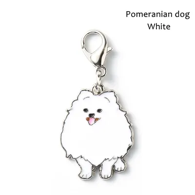 Pet supplies keychain