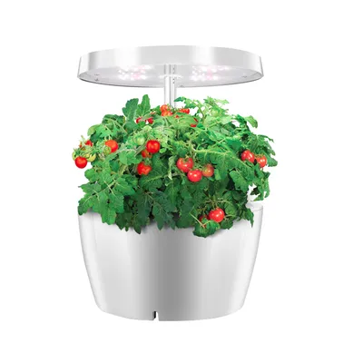 Plant growth light