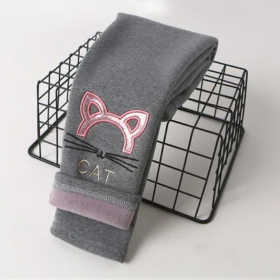 Kitten light gray