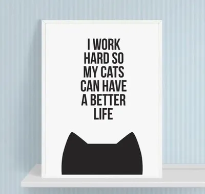 Cat Poster