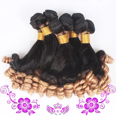 T1B/27 funmi hair