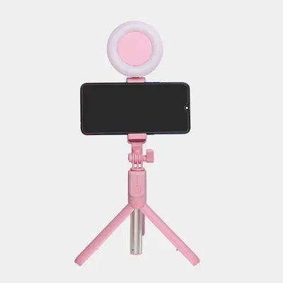 J861Single lamp pink